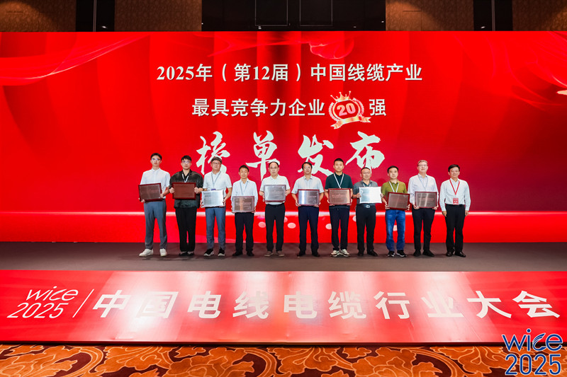 中國線纜20強領獎_副本.jpg